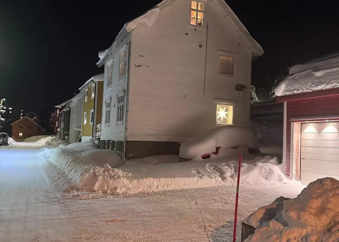 Cozy Studio, Close To Down Town